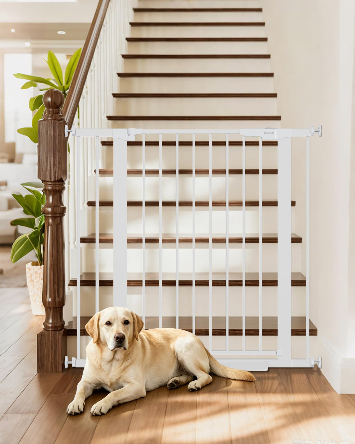 InnoTruth 29.6-39.1 in Wide Baby Gate for Stairs and Doorways, White